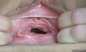护送猫美国爸爸的卡通性